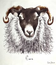 Tea Towel Blackface Sheep