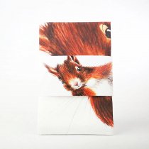 Tea Towel Red Squirrel