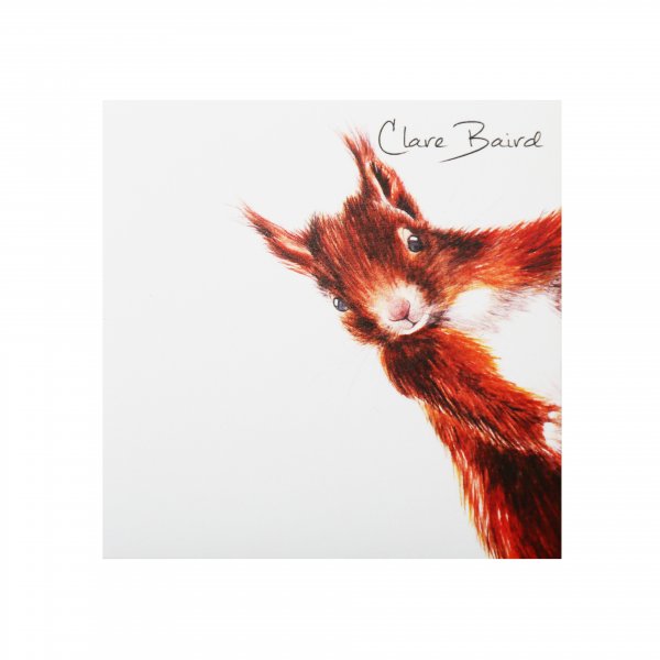 Sticky Notes Red Squirrel