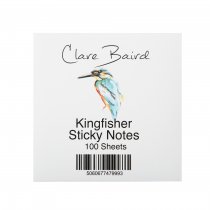 Sticky Notes Kingfisher