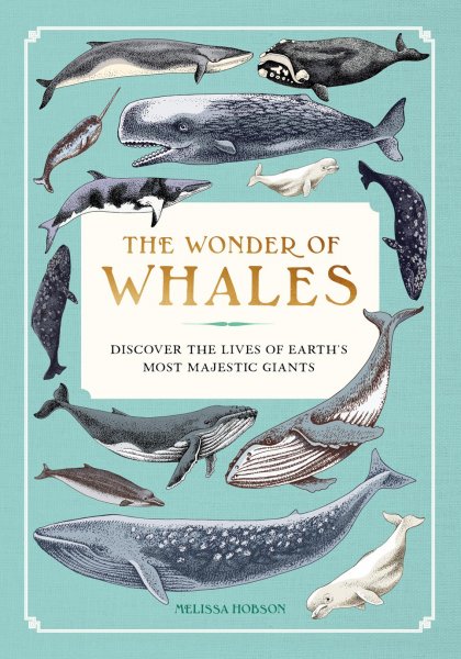 Wonder of Whales, The