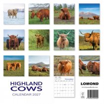 2027 Calendar Highland Cows (2 for 10v)