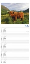 2027 Calendar Highland Cows Appointments (2 for 10v)