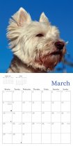 2027 Calendar West Highland Terriers (2 for 10v)