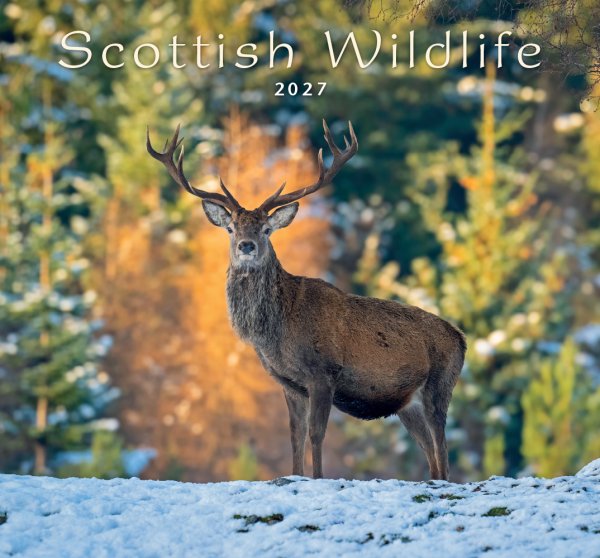 2027 Calendar Scottish Wildlife