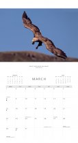 2027 Calendar Scottish Wildlife