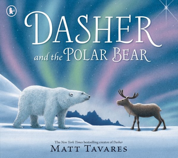 Dasher & the Polar Bear