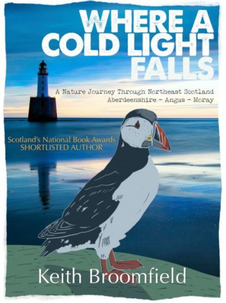Where a Cold Light Falls