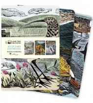 Notebook Set Midi Wildlife