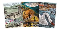 Notebook Set Midi Wildlife