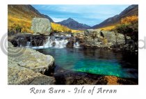 Rosa Burn Pool Postcard