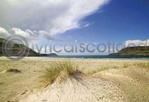 Sand Dunes, Calgary Bay Postcard