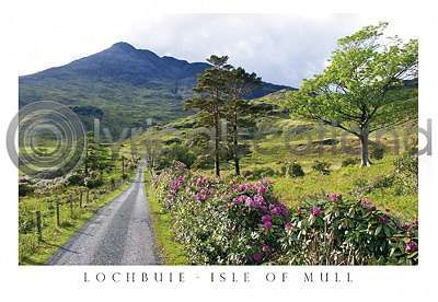 Road To Loch Buie & Ben Buie Postcard