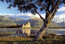 Kilchurn Castle & Tree Postcard