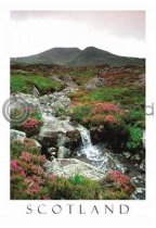 Highland Burn - Scotland