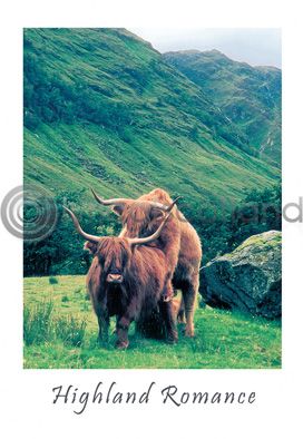 Highland Romance Postcard