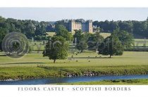 Floors Castle Postcard