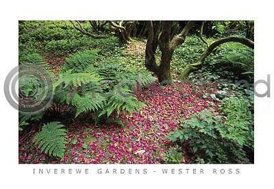 Inverewe Gardens Wester Ross Postcard