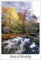 Birks, Aberfeldy, Autumn Postcard