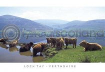 Highlanders, Loch Tay Postcard