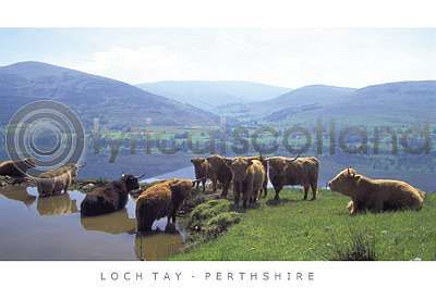Highlanders, Loch Tay Postcard