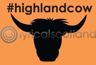 #highlandcow Postcard