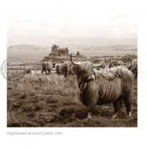 Highlanders At Duart Castle Sepia Greetings Card