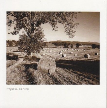 Hay Bales, Stirling Sepia Greetings Card