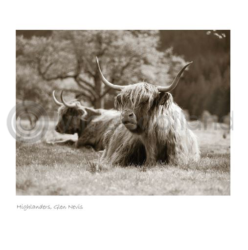 Highlanders, Glen Nevis Sepia Greetings Card