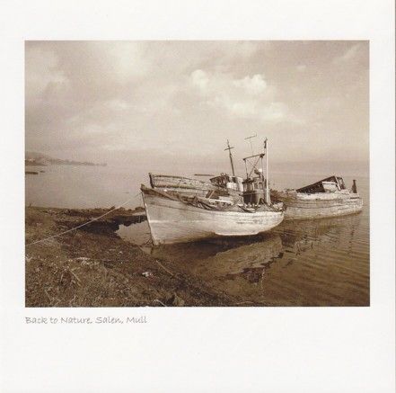 Back to Nature Sepia Greetings Card