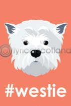 #westie Postcard