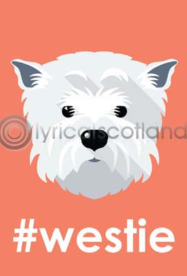 #westie Postcard