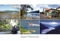 Cowal Composite Postcard