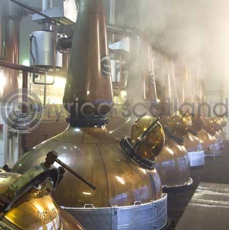 Malt Whisky Stills Colour Photo Greetings Card