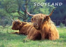 Scotland - Highlanders at Glen Nevis Magnet