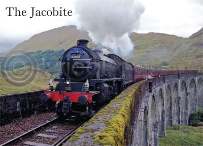 Jacobite on Glenfinnan Viaduct Magnet