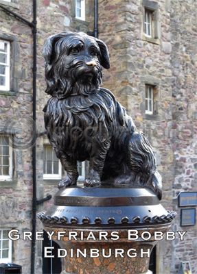 Greyfriars Bobby - Edinburgh Magnet
