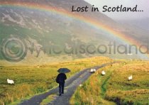 Lost in Scotland Magnet