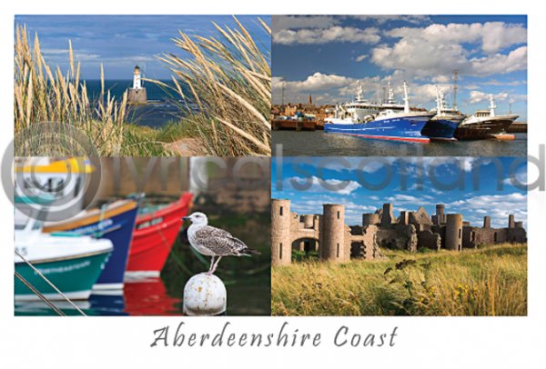 Aberdeenshire Coast Composite Postcard