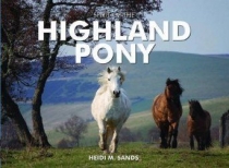 Spirit of the Highland Pony